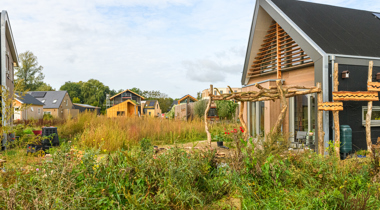 Woningen in Olstergaard met toekomstbestendige tuinontwerpen