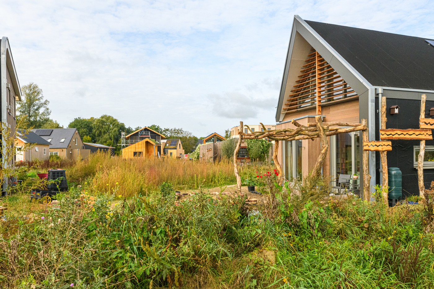 Meerdere nieuwbouwwoningen in een pasaangelegde tuin als voorbeeld voor toekomstbestendig bouwen in Olstergaard.