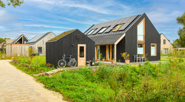 Voorbeeld van Natuurinclusief bouwen in Olst Olstergaard (fotograaf Vincent Tollenaar)