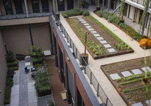 Binnentuin in Flatgebouw